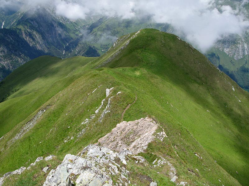 bergerkogel